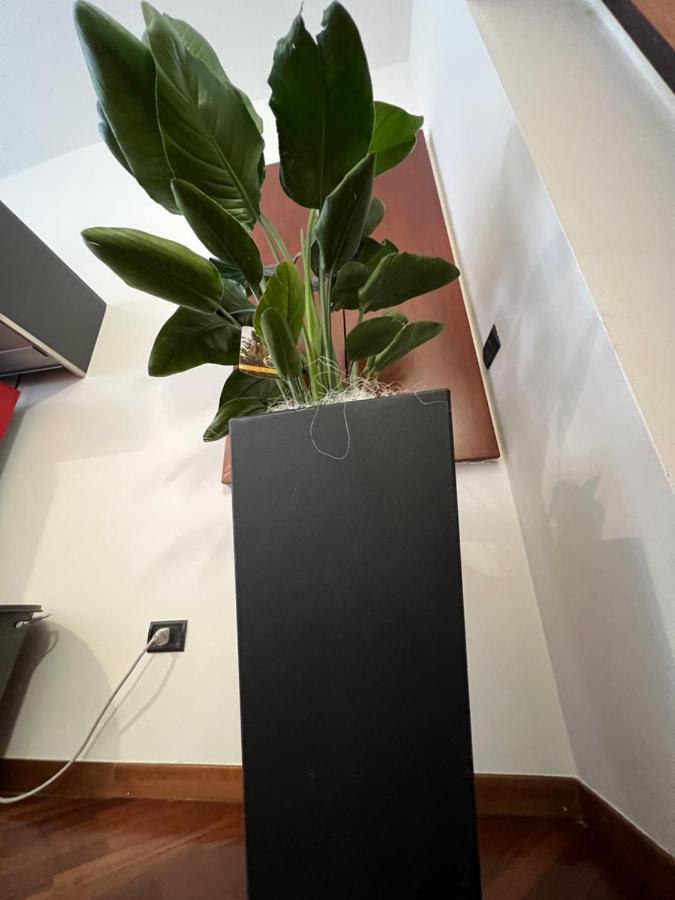Effealatapartments - Appartamento Del Duca Senigallia Exterior photo